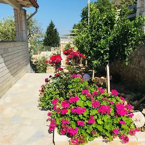 Vila Milo , Vuno Albania